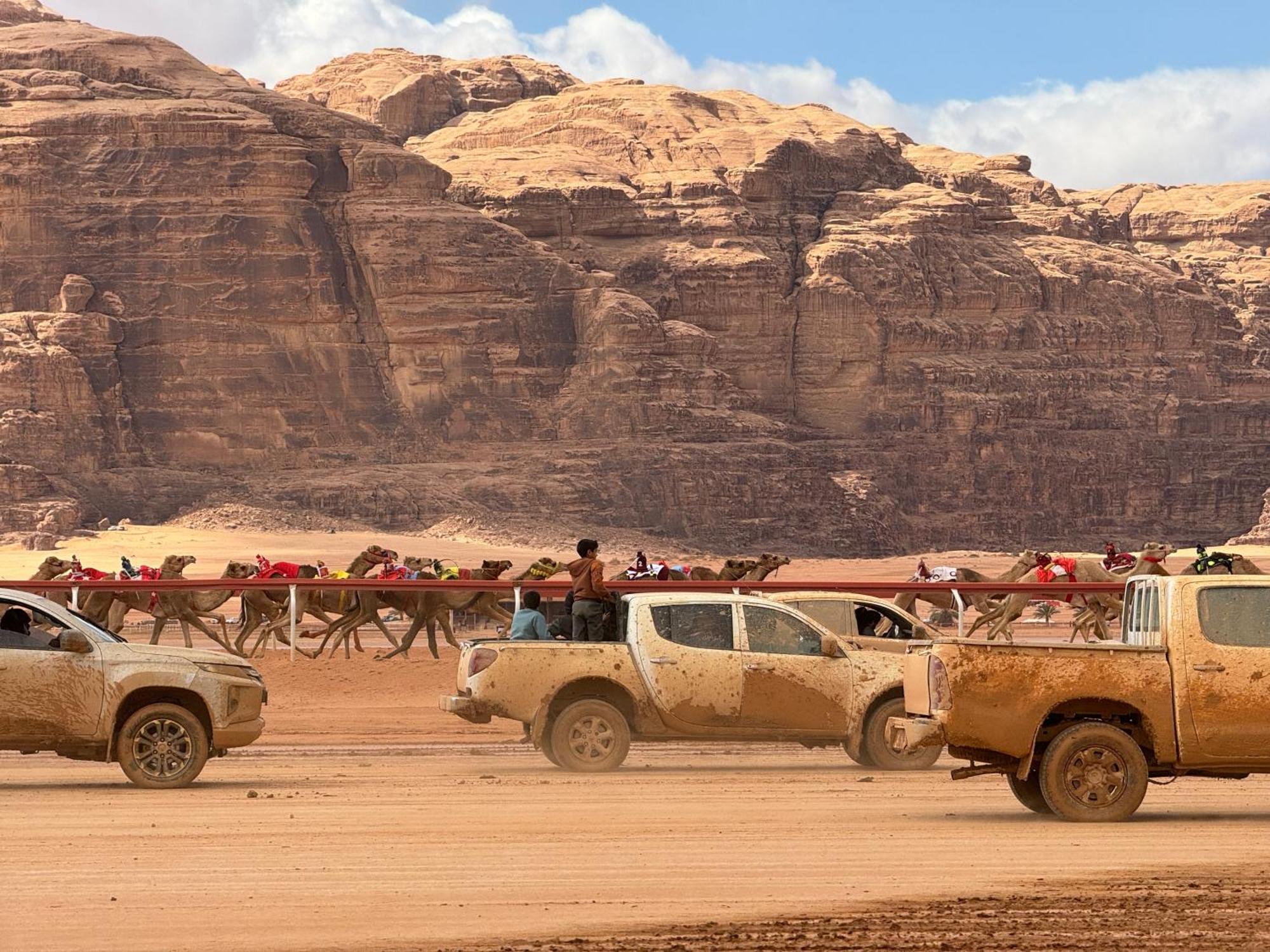 Desert Bird Camp 瓦迪拉姆 外观 照片