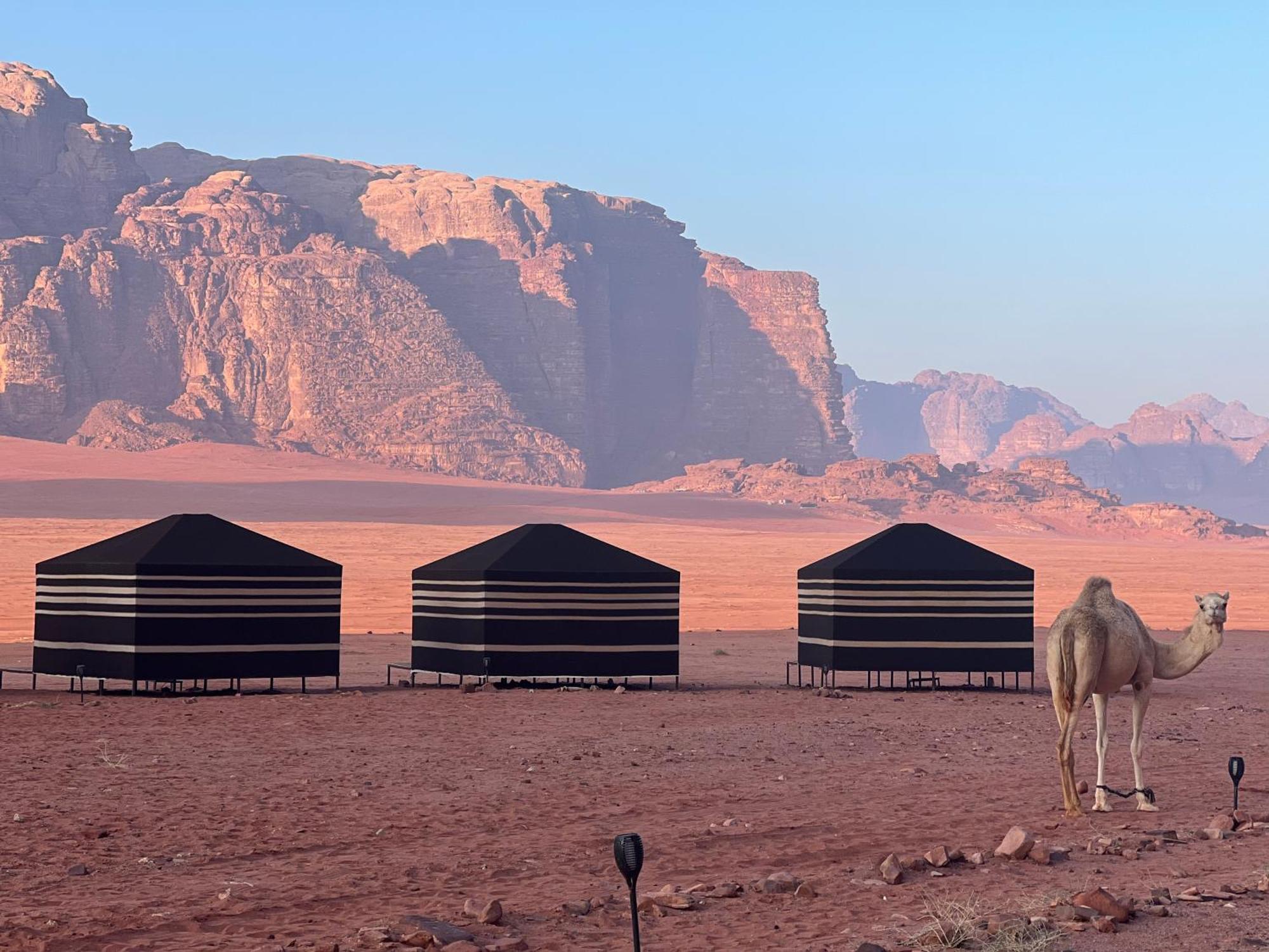 Desert Bird Camp 瓦迪拉姆 外观 照片