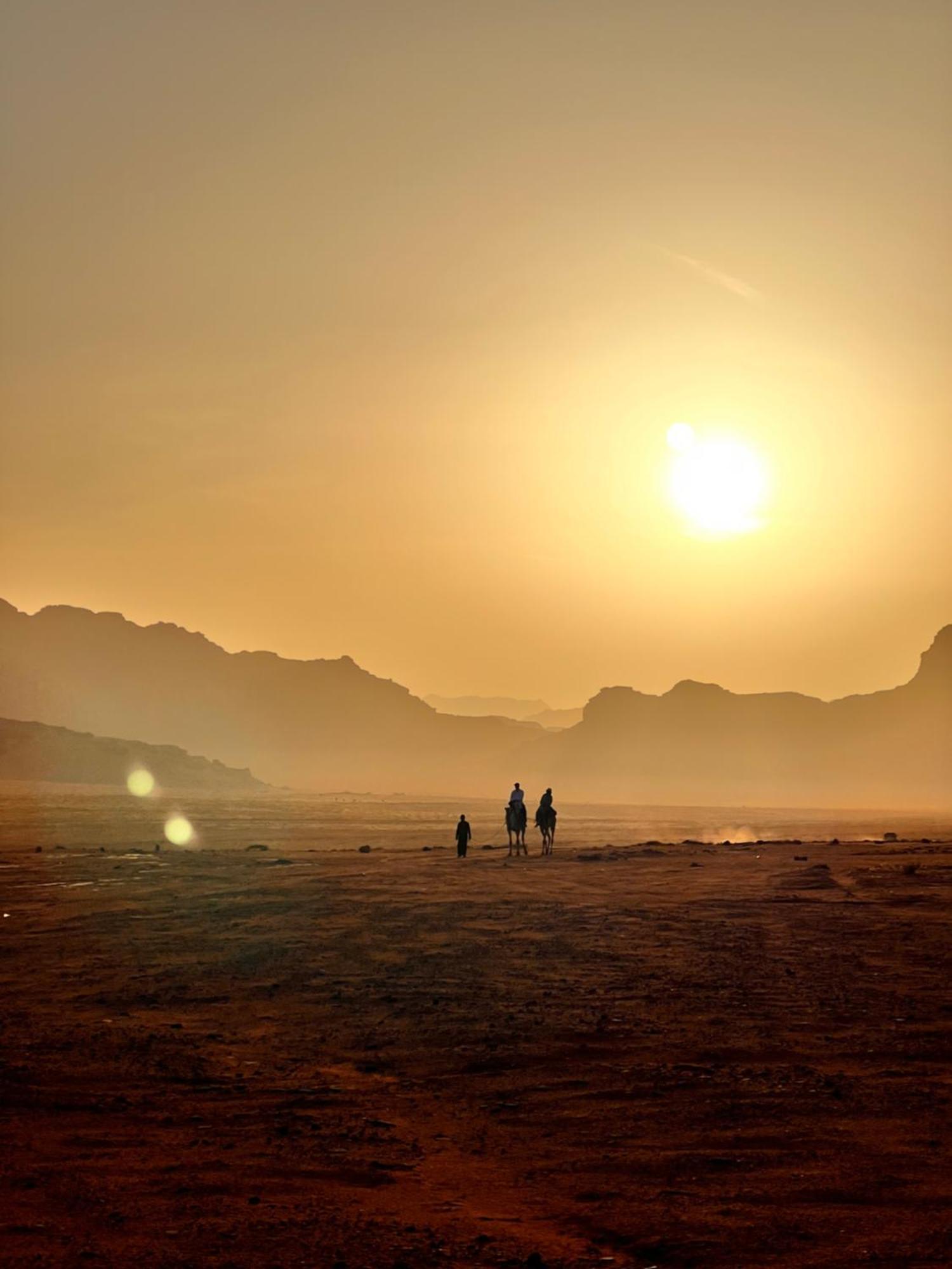 Desert Bird Camp 瓦迪拉姆 外观 照片