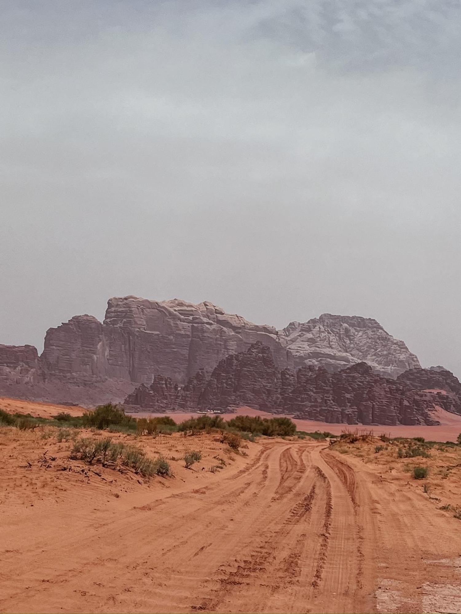 Desert Bird Camp 瓦迪拉姆 外观 照片