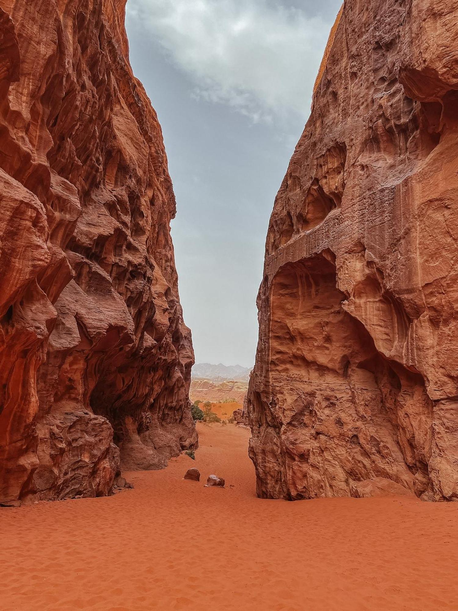 Desert Bird Camp 瓦迪拉姆 外观 照片