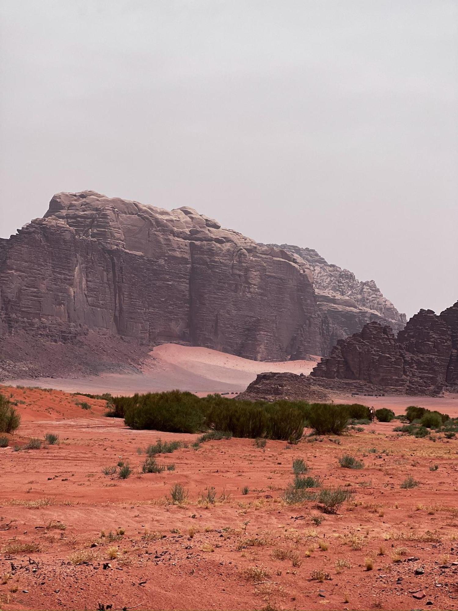 Desert Bird Camp 瓦迪拉姆 外观 照片